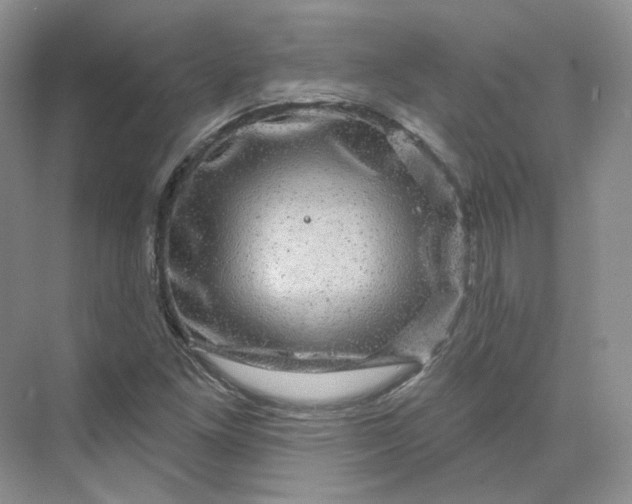 X0000075901261200609291723