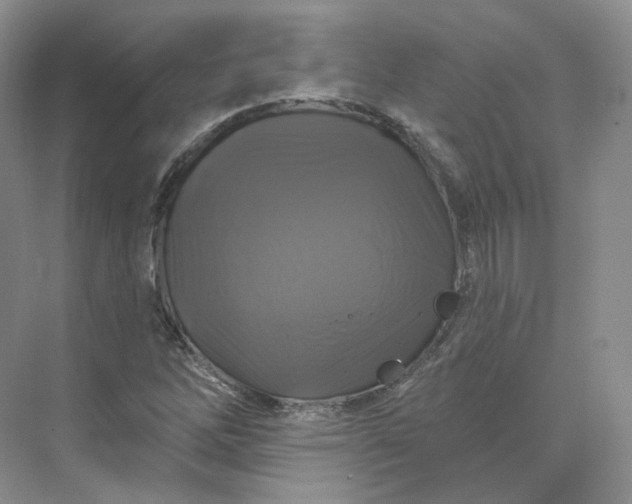 X0000075901262200609291723