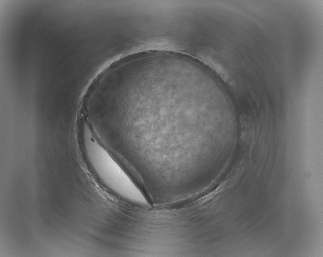 X0000075901264200609291722