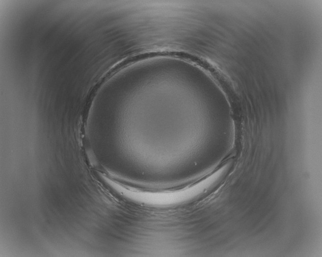 X0000075901265200609291722