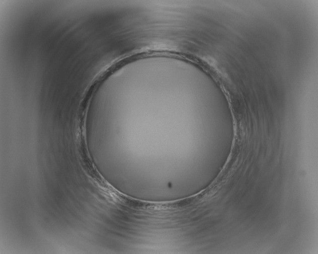 X0000075901266200609291722