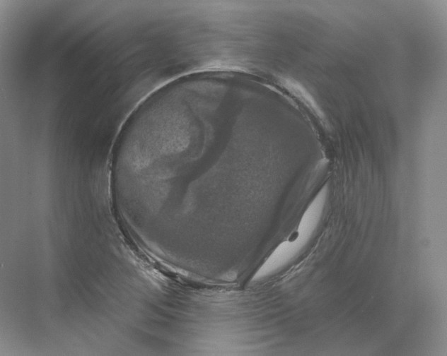 X0000075901268200609291722