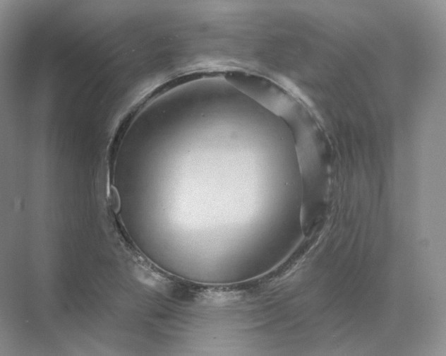 X0000075901269200609291722