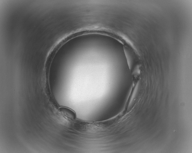 X0000075901270200609291722