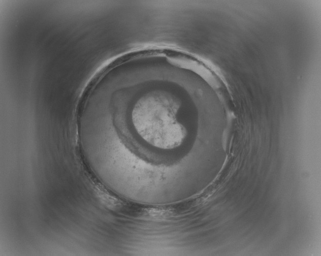 X0000075901271200609291722