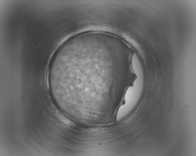 X0000075901272200609291722