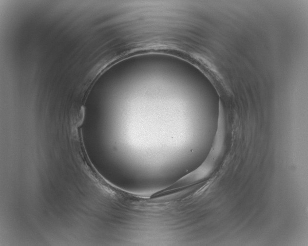 X0000075901273200609291722