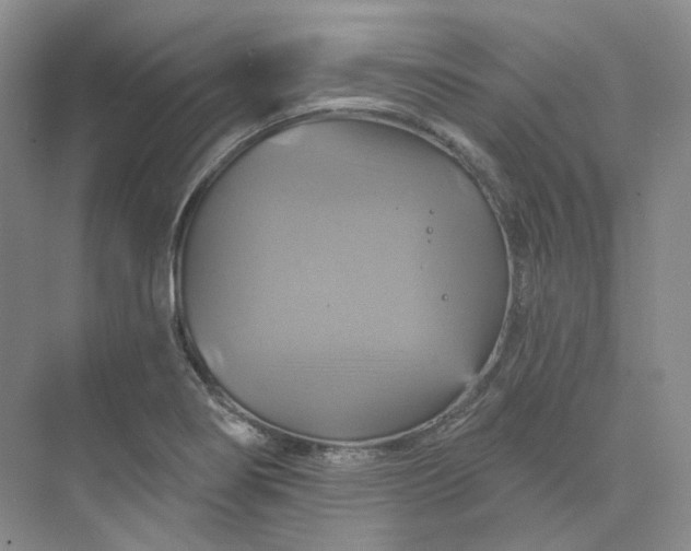 X0000075901274200609291722