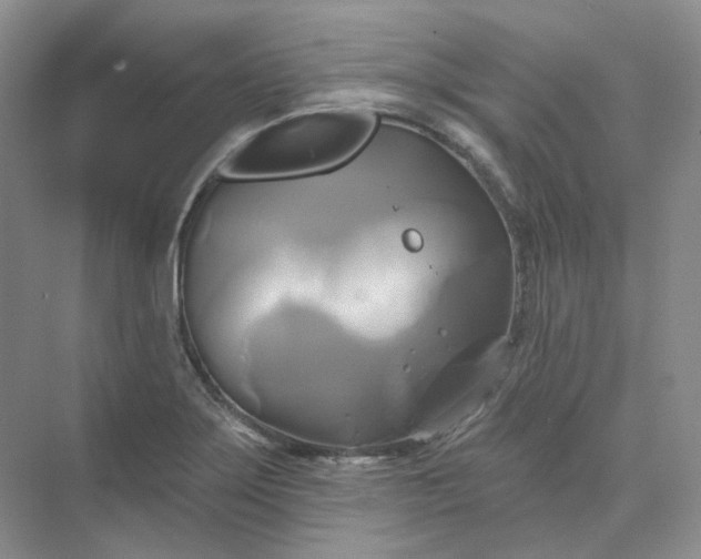 X0000075901275200609291722