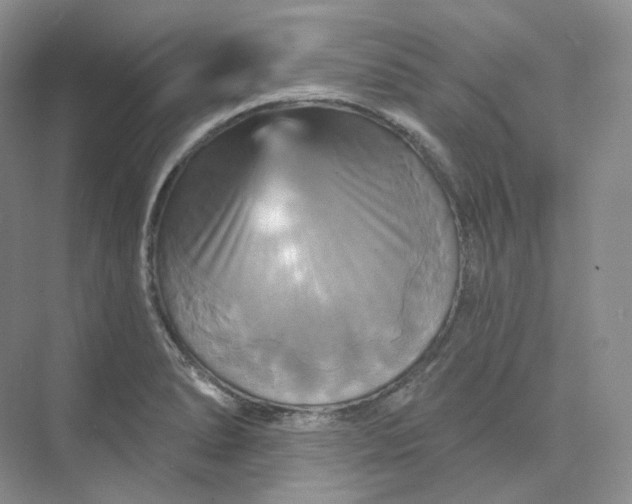 X0000075901278200609291722