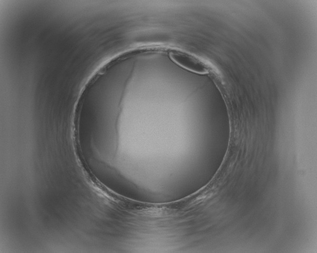 X0000075901279200609291722