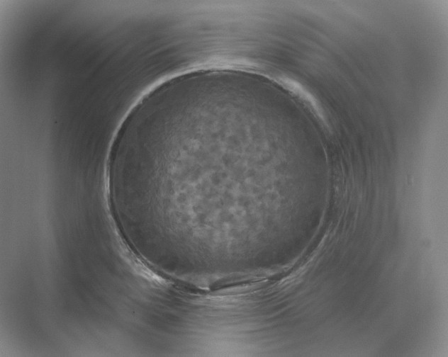 X0000075901280200609291722