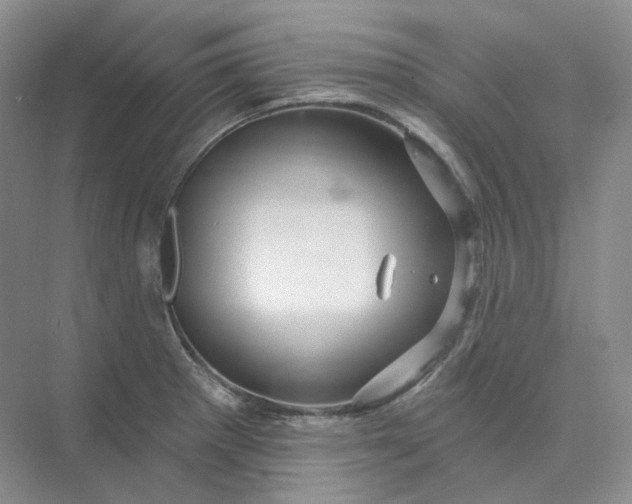 X0000075901281200609291722