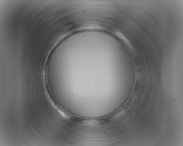 X0000075901282200609291722