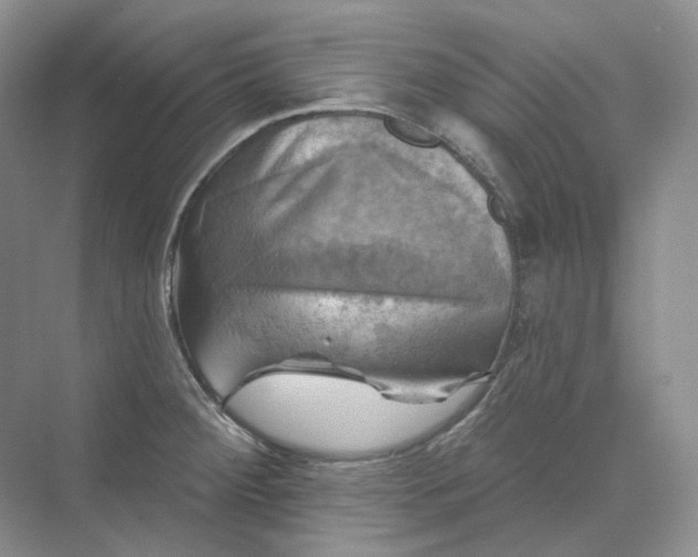 X0000075901284200609291722