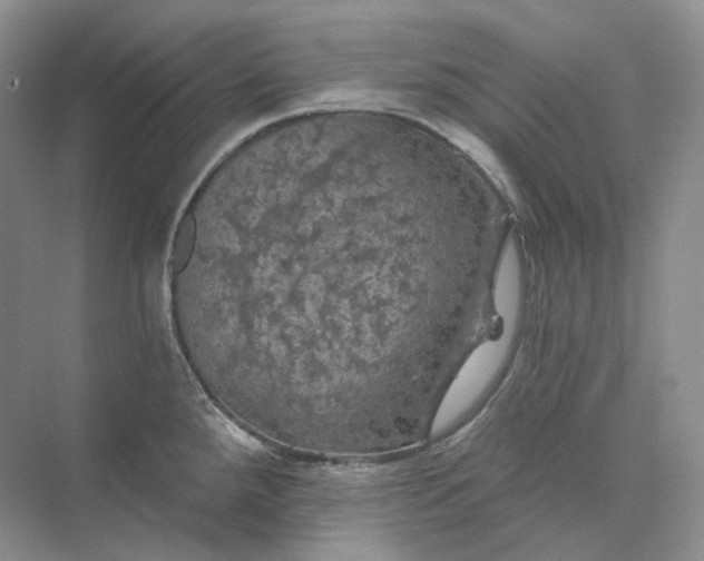 X0000075901288200609291722