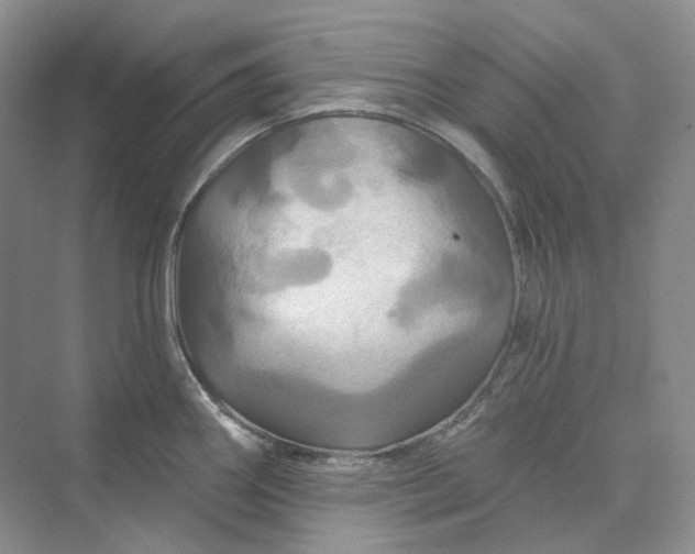 X0000075901290200609291722