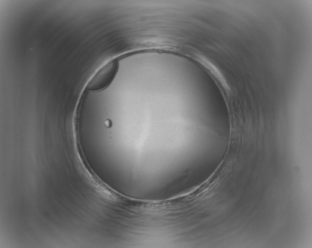 X0000075901291200609291722