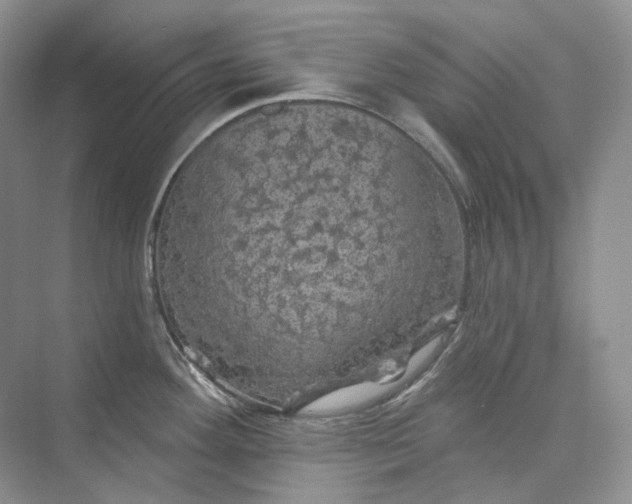 X0000075901292200609291722