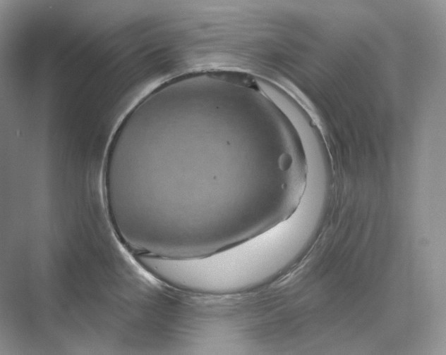 X0000075901293200609291722