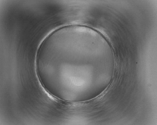 X0000075901294200609291722