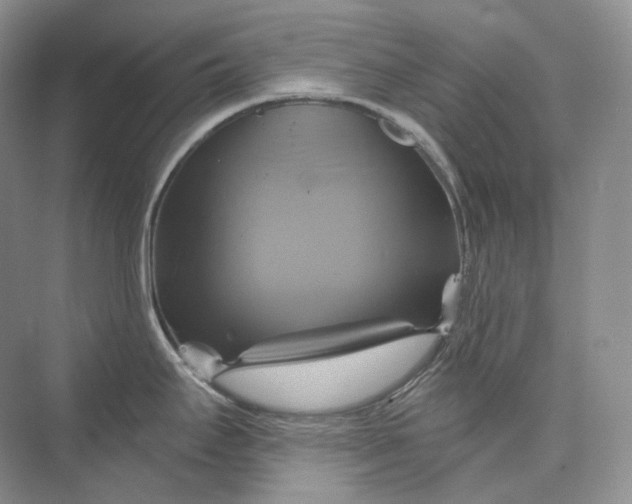 X0000075901295200609291722