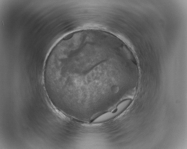 X0000075901296200609291722