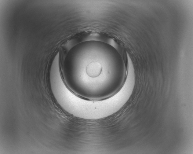 X0000075901297200609291721