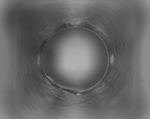 X0000075901299200609291721