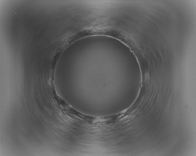 X0000075901300200609291721