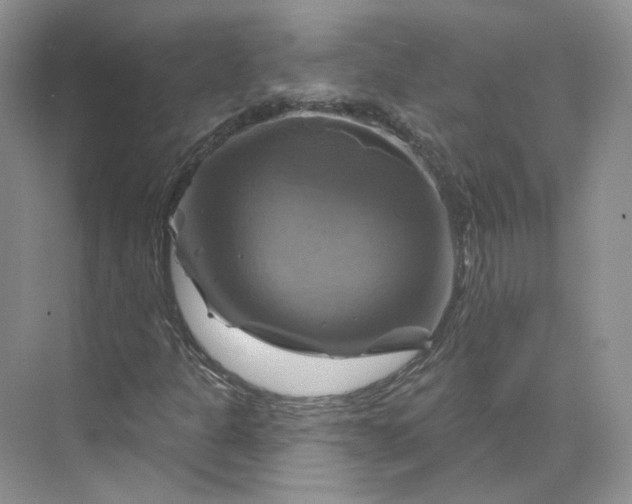 X0000075901301200609291721