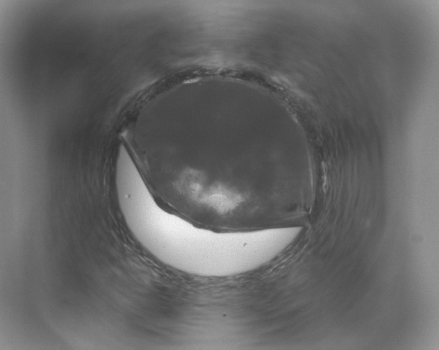 X0000075901302200609291721