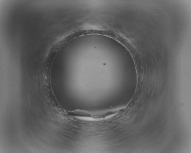 X0000075901303200609291721