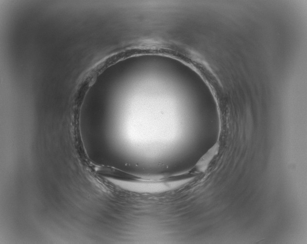 X0000075901304200609291721