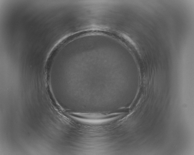 X0000075901310200609291721