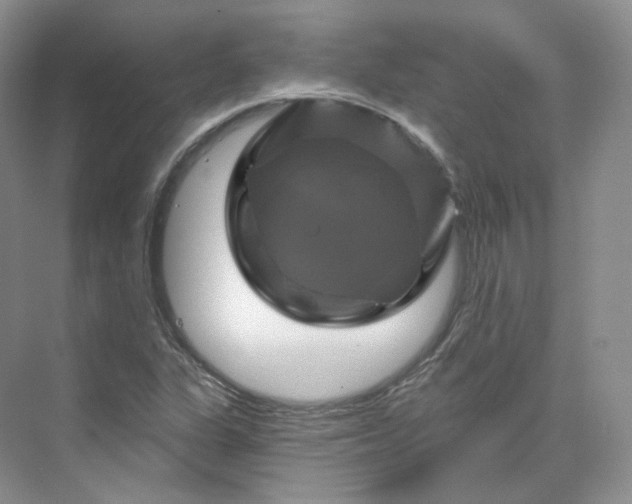 X0000075901311200609291721