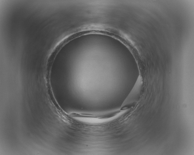 X0000075901312200609291721