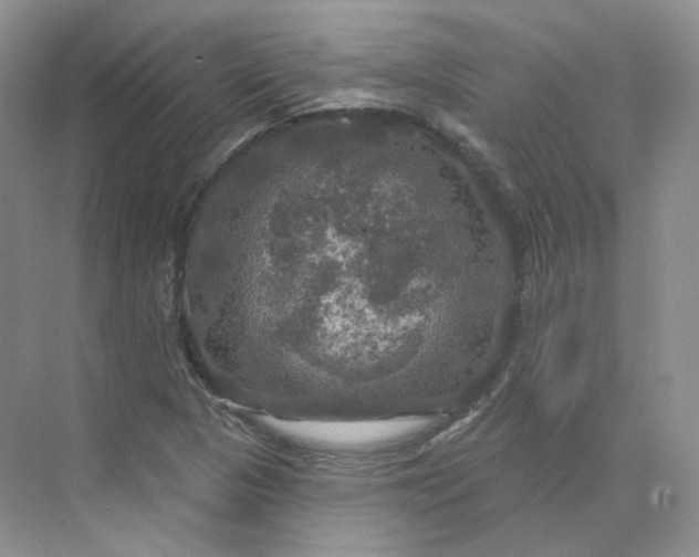 X0000075901313200609291721