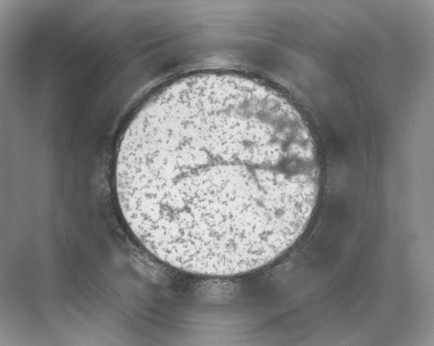 X0000075901314200609291721