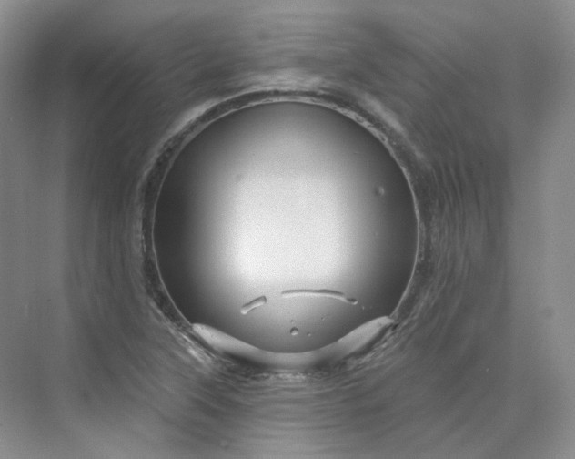 X0000075901315200609291721