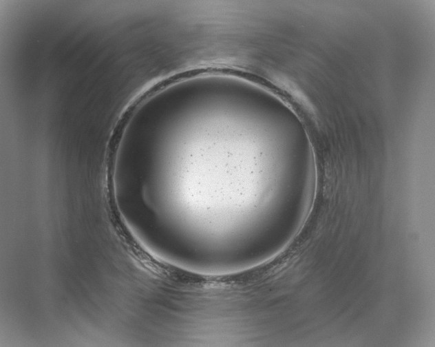 X0000075901316200609291721