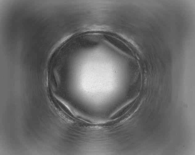 X0000075901317200609291721