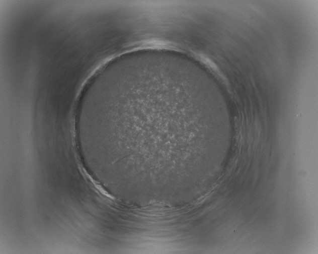 X0000075901318200609291721