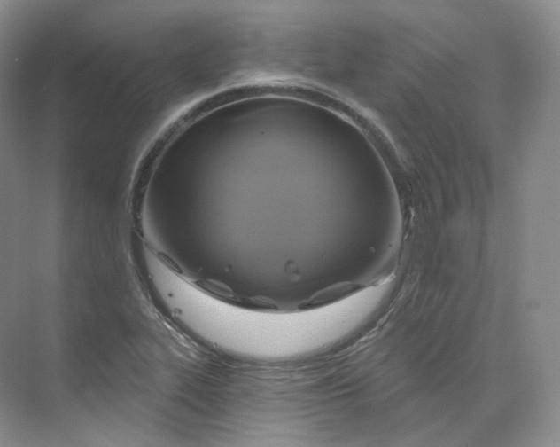 X0000075901319200609291721