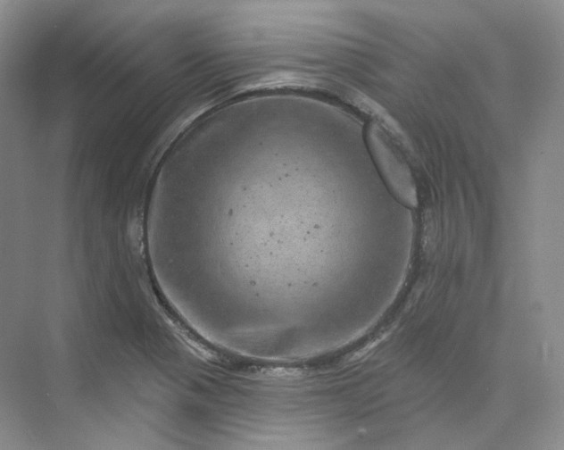 X0000075901321200609291722