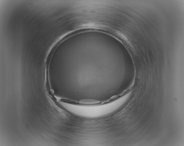 X0000075901323200609291722