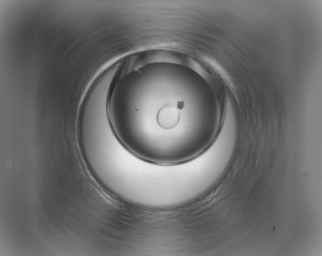 X0000075901324200609291722