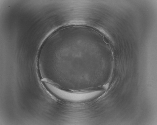 X0000075901325200609291722