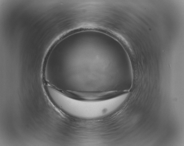 X0000075901327200609291722