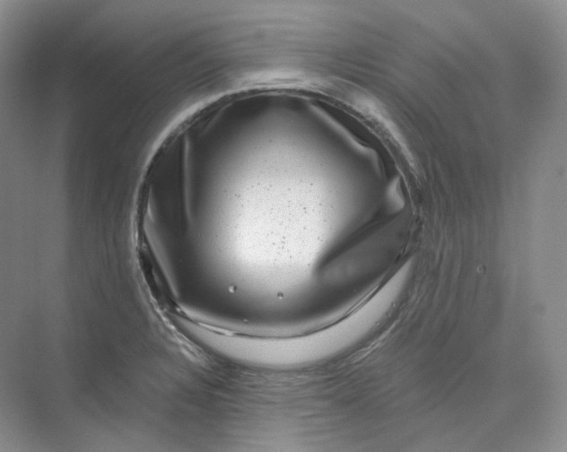 X0000075901328200609291722